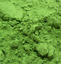 �H�i���H�p����